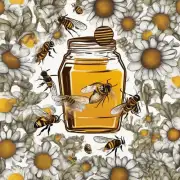 有无研究证明蜂蜜具有抗菌活性并可用于治疗痤疮或其他皮肤疾病？
