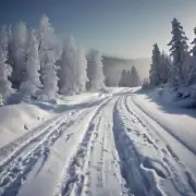 你喜欢在冬天里做什么？
