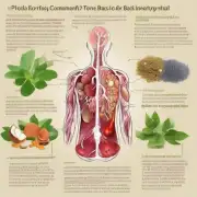 哪些成分是被证明对皮肤有益且可用于治疗背部痤症的天然植物提取物？