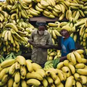 是否有任何潜在风险与过度依赖香蕉进行护肤品生产相关联的风险存在？