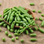 什么是绿豆茯苓白芷？它们分别有哪些功效和作用呢？