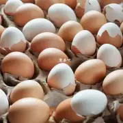 鸡蛋面膜有哪些功效和适用人群?
