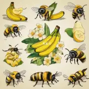 香蕉和蜜蜂面膜的主要成分是什么?它们是否具有同样的护肤效果?