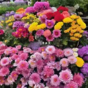 在什么季节可以买到最美的鲜花?