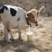 纯牛奶祛斑面膜需要多久才能见到效果?