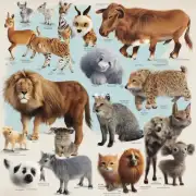 宝宝短发图片有哪些动物?